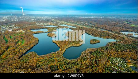 Vista aerea, Sechs-seen-Platte, area ricreativa, circondata da alberi decidui autunnali, Wedau, Duisburg, area della Ruhr, Renania settentrionale-Vestfalia, Germania Foto Stock