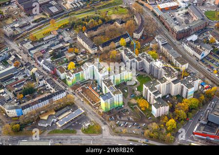 Vista aerea, alti edifici residenziali, parco residenziale della città con facciate verdi e bianche, cortile con alberi in legno Foto Stock