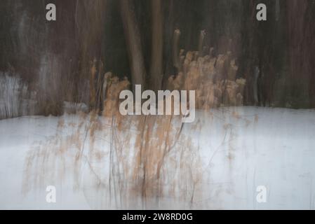 Immagini astratte del paesaggio forestale in inverno. Le immagini pittoriche vengono create utilizzando il movimento verticale o orizzontale della fotocamera durante l'esposizione. Foto Stock