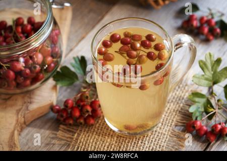 Tè alle erbe con bacche di biancospino mature fresche in una tazza di vetro Foto Stock