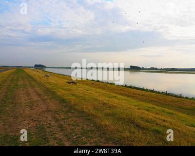 Il meglio della Zelanda, Mare del Nord - Paesi Bassi, Olanda Foto Stock