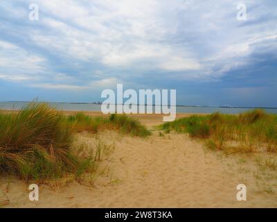 Il meglio della Zelanda, Mare del Nord - Paesi Bassi, Olanda Foto Stock