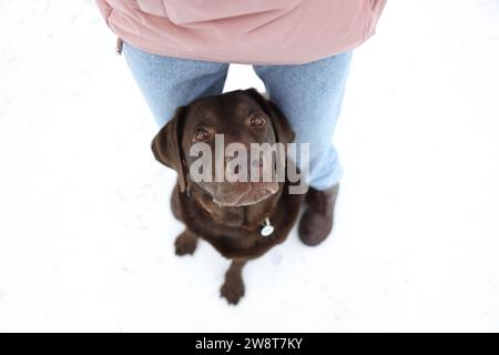 Donna con adorabile cane Labrador Retriever sulla neve, sopra la vista Foto Stock