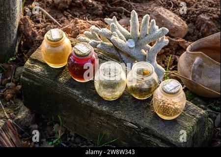 Primo piano di 5 vasetti di vetro, contenitori per spezie, con varie spezie all'interno nei colori: Arancione, rosso, beige, con tre chiusi e due aperti. Foto Stock