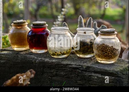 Primo piano di 5 vasetti di vetro, contenitori per spezie, con varie spezie all'interno nei colori: Arancione, rosso, beige, con tre chiusi e due aperti Foto Stock