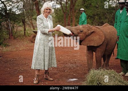 PA REVIEW OF THE YEAR 2023 file Photo datato 01/11/23 - Queen Camilla nutre latte a un bambino di elefante durante una visita al Sheldrick Wildlife Trust Elephant Orphanage nel Parco Nazionale di Nairobi, per ascoltare il lavoro svolto dal Trust per la conservazione e la conservazione della fauna selvatica e delle aree protette in tutto il Kenya, il secondo giorno della visita di stato in Kenya. Data di emissione: Venerdì 22 dicembre 2023. Foto Stock