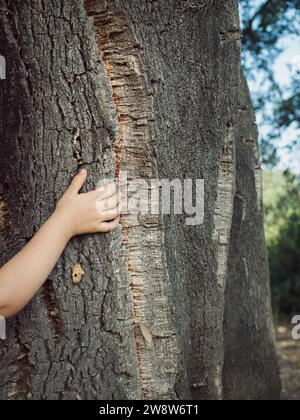 Primo piano verticale della mano di un bambino che tocca la consistenza spugnosa di una vecchia enorme quercia da sughero sarda. Foto Stock