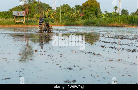 Sumenep Regency, Indonesia - 20 dicembre 2023 - agricoltore che ara campi fangosi con trattore a mano per preparare il terreno per la semina al mattino. Foto Stock