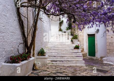 Scena di strada con una piccola piazza tra case, una scalinata e un albero in fiore viola in un vaso. Foto Stock