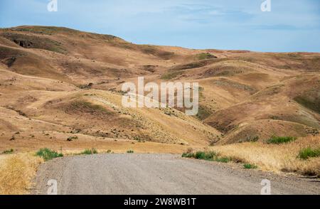 Dirt Road presso Succor Creek State Natural area, Oregon Foto Stock