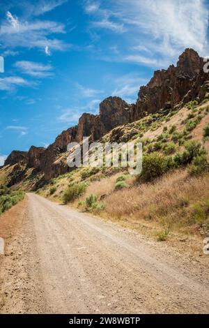 Dirt Road presso Succor Creek State Natural area, Oregon Foto Stock