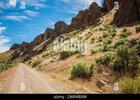 Dirt Road presso Succor Creek State Natural area, Oregon Foto Stock