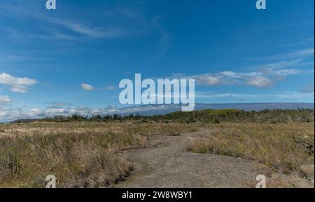 vista panoramica del Mauna Loa dal bordo del cratere Kilauea presso il Parco Nazionale dei Vulcani sulla grande Isola delle Hawaii Foto Stock