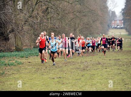 gruppo di corridori a distanza allo nowton park bury st edmunds, suffolk, inghilterra Foto Stock