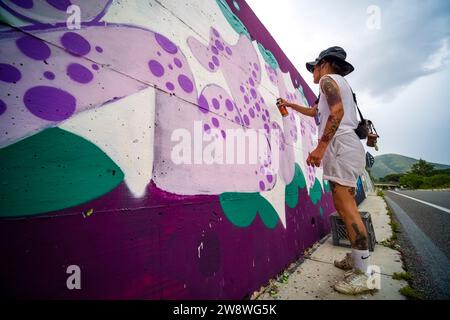 Una giovane donna tatuata con pantaloncini spruzza graffiti colorati su un muro lungo una strada asfaltata. Foto Stock