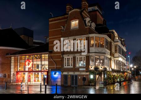 Swan London - Un bar/ristorante Riverside collegato al Globe Theatre di Shakespeare, Bankside, Londra, Regno Unito Foto Stock