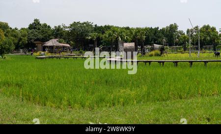 Giardini, punti di bellezza a Bangkok Foto Stock