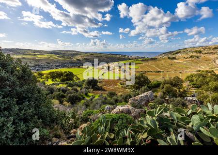 Vacanze in fattoria Tuta a Kerċem, Gozo, Malta Foto Stock