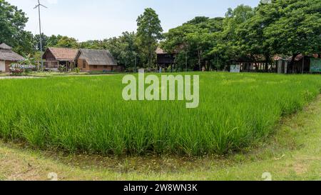 Giardini, punti di bellezza a Bangkok Foto Stock