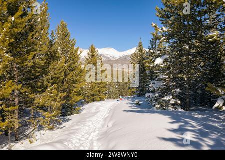 Paesaggio invernale nel Colorado settentrionale Foto Stock