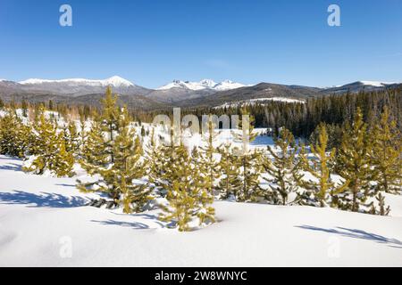 Paesaggio invernale nel Colorado settentrionale Foto Stock