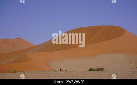 Big Mama Dune a Sossusvlei, Namibia. Grandi dune di sabbia rossa e cielo blu Foto Stock
