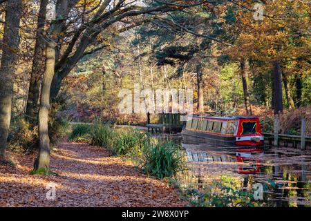 Canal Boat ormeggiata sul canale Basingstoke in autunno. Mytchette, Surrey, Inghilterra, Regno Unito, Gran Bretagna Foto Stock