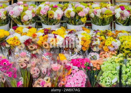 Molti mazzi composizioni di fiori di varie tonalità di giallo rosso rosa e bianco dei fiori di garofano di crisantemo Foto Stock