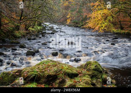 Acqua che scorre velocemente sulle rocce nel tardo autunno. Randolf's Leap, River Findhorn, Morayshire, Scozia. Foto Stock