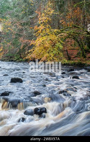 Acqua che scorre velocemente sulle rocce nel tardo autunno. Randolf's Leap, River Findhorn, Morayshire, Scozia. Foto Stock