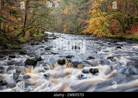 Acqua che scorre velocemente sulle rocce nel tardo autunno. Randolf's Leap, River Findhorn, Morayshire, Scozia. Foto Stock