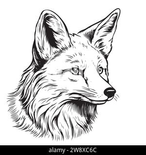 Fox. Grafica, schizzo, ritratto in bianco e nero, disegnato a mano di una testa Foxs su sfondo bianco. Illustrazione Vettoriale