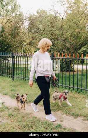 Donna matura che cammina cani carini nel parco pubblico Foto Stock