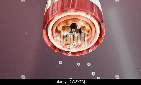 Sintomi di asma, trattamento, Bronchiolo, rendering 3d. Foto Stock