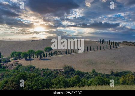 Asciano, cipressi e colline. Crete Senesi, Toscana, Italia Foto Stock