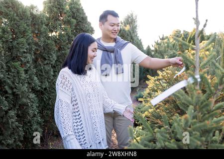 Una giovane coppia sposata asiatica in abiti casual sceglie un albero di Natale. Un attraente uomo coreano e la sua affascinante moglie stanno comprando piantine verdi a casa Foto Stock