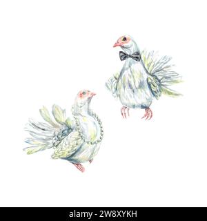 Acquerello colombe bianche. Illustrazione vettoriale degli uccelli simbolo della pace. Inviti di nozze, biglietti, copertine, striscioni, San Valentino, poster, volantini. Illustrazione Vettoriale