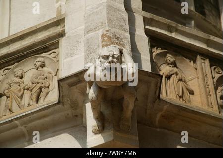 Meissen Albrechtsburg, gargoyle sul Wendelstein Foto Stock