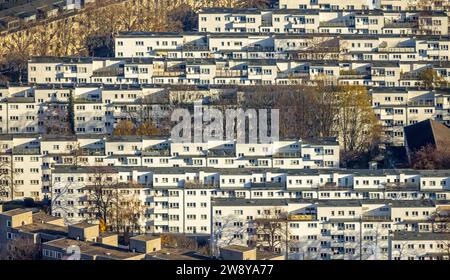 Luftbild, Reihenhaus-Wohnsiedlung Stadtviertel Veedel Buchforst, umgeben von herbstlichen Laubbäumen, Buchforst, Köln, Rheinland, Nordrhein-Westfalen, Deutschland ACHTUNGxMINDESTHONORARx60xEURO *** Vista aerea, casa a schiera quartiere immobiliare Veedel Buchforst, circondata da alberi decidui autunnali, Buchforst, Colonia, Renania settentrionale-Vestfalia, Germania ACHTUNGxMINDESTHONORARx60xEURO Foto Stock