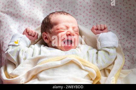 Un nuovo membro della famiglia reagisce con la luce solare e il sorriso sul viso, inizia un nuovo viaggio e una nuova storia Foto Stock