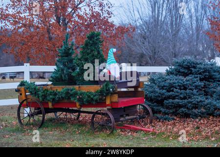 Santa GNOME su un carro decorato con alberi di Natale e ghirlanda sempreverde per Natale in una giornata invernale in Wyoming, Minnesota, USA. Foto Stock