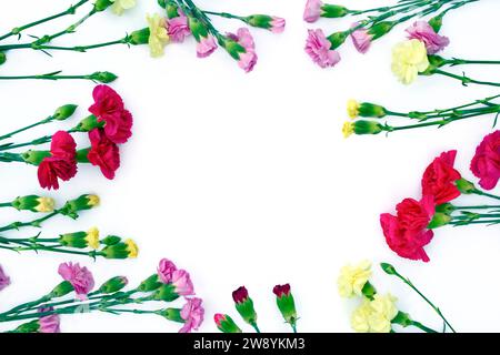 Composizione floreale. Cornice rotonda composta da freschi fiori di garofano colorati su sfondo bianco. Primavera, estate. Base piatta, vista dall'alto, spazio di copia Foto Stock
