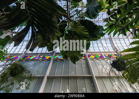 Il Conservatory of Flowers è una serra e un giardino botanico che ospita una collezione di piante rare ed esotiche nel Golden Gate Park, con strutture costruttive Foto Stock