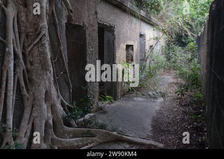 Mount Davis Military Relics, Isola di Hong Kong, Hong Kong, Cina 21 dicembre 2023 Foto Stock