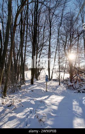 Winterbilder aus dem Teutoburger Wald Foto Stock