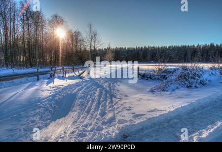 Winterbilder aus dem Teutoburger Wald Foto Stock