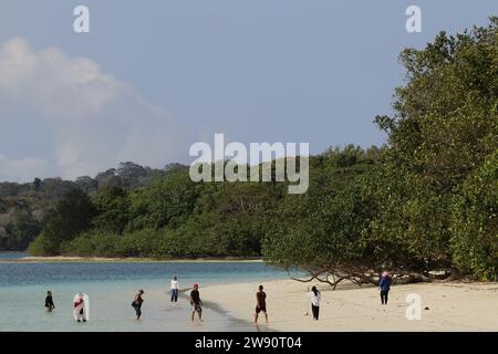 Pandeglang, Banten, Indonesia. 23 dicembre 2023. La gente visita l'isola di Peucang, che è un sito patrimonio dell'umanità dell'UNESCO nel Parco Nazionale di Ujung Kulon, nel distretto di Sumur. (Immagine di credito: © Angga Budhiyanto/ZUMA Press Wire) SOLO USO EDITORIALE! Non per USO commerciale! Foto Stock