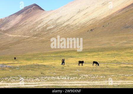 20 agosto 2023 - Kirghizistan in Asia centrale: Gente che munge il mare per ottenere latte per i kumis al passo Ala-bel Foto Stock