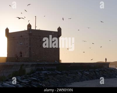 Gli uccelli volano sopra la fortezza mentre un uomo in silhouette cammina sui bastioni vicino alla spiaggia rocciosa al tramonto, a Essaouira, in Marocco. 22 dicembre 2023 Foto Stock