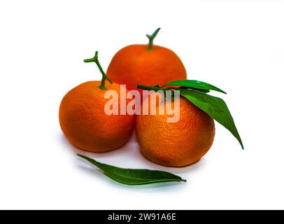 Mandarini o clementine con foglia verde su sfondo bianco Foto Stock
